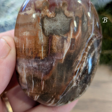 Brown, Tan, Red Petrified Wood Palm Stones - Variant B