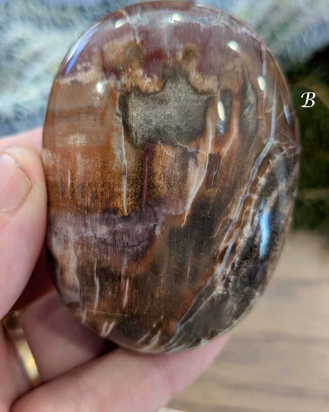 Brown, Tan, Red Petrified Wood Palm Stones - Variant B