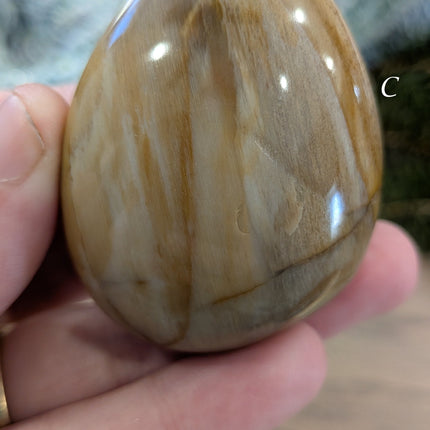 Brown, Tan, Red Petrified Wood Palm Stones - Variant C