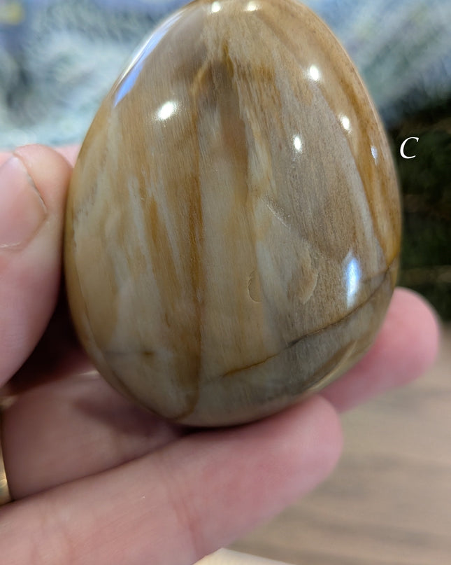 Brown, Tan, Red Petrified Wood Palm Stones - Variant C