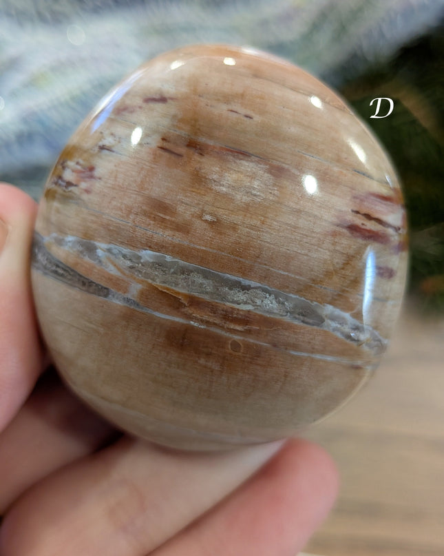 Brown, Tan, Red Petrified Wood Palm Stones - Variant D