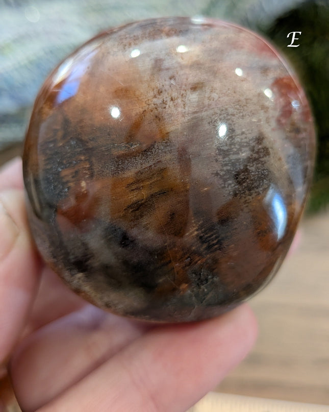 Brown, Tan, Red Petrified Wood Palm Stones - Variant E
