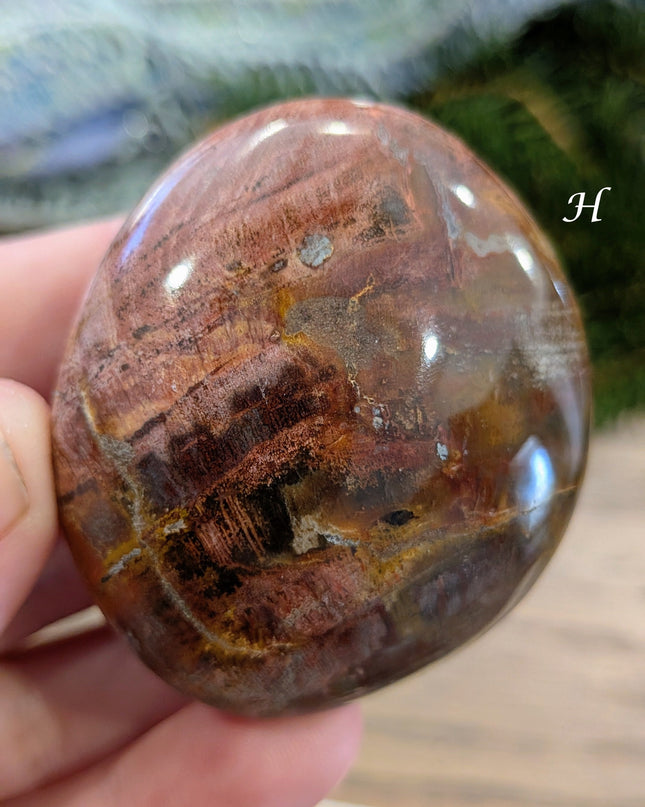 Brown, Tan, Red Petrified Wood Palm Stones - Variant H