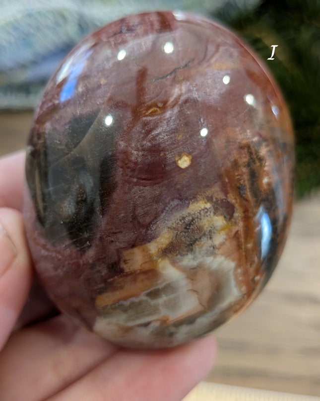 Brown, Tan, Red Petrified Wood Palm Stones - Variant I