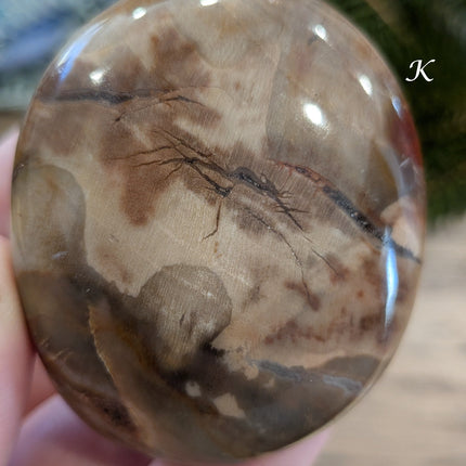 Brown, Tan, Red Petrified Wood Palm Stones - Variant K