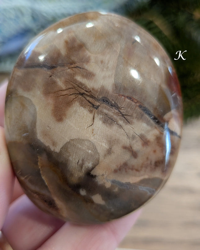 Brown, Tan, Red Petrified Wood Palm Stones - Variant K
