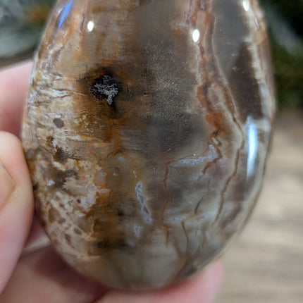 Brown, Tan, Red Petrified Wood Palm Stones - Variant L