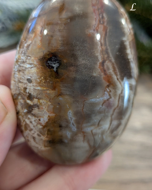Brown, Tan, Red Petrified Wood Palm Stones - Variant L