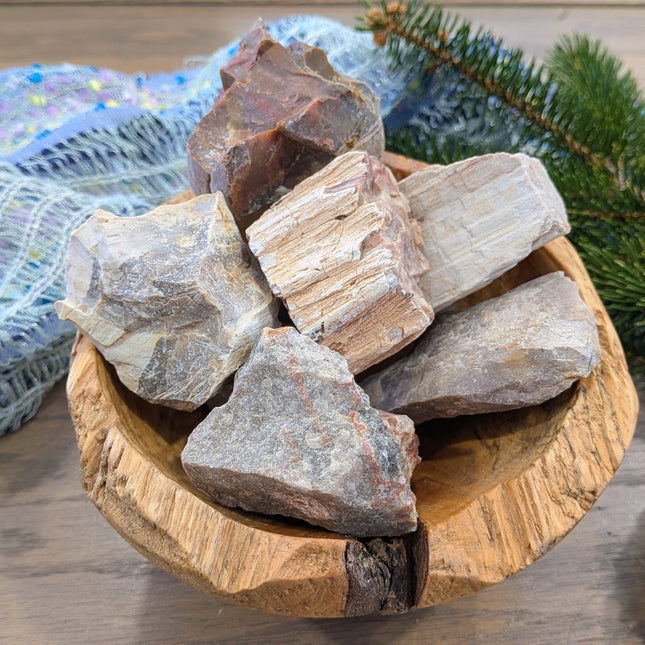 Brown, Red, Tan Petrified Wood Rough Stones