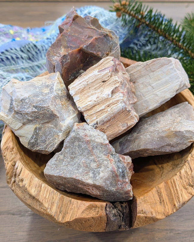 Brown, Red, Tan Petrified Wood Rough Stones