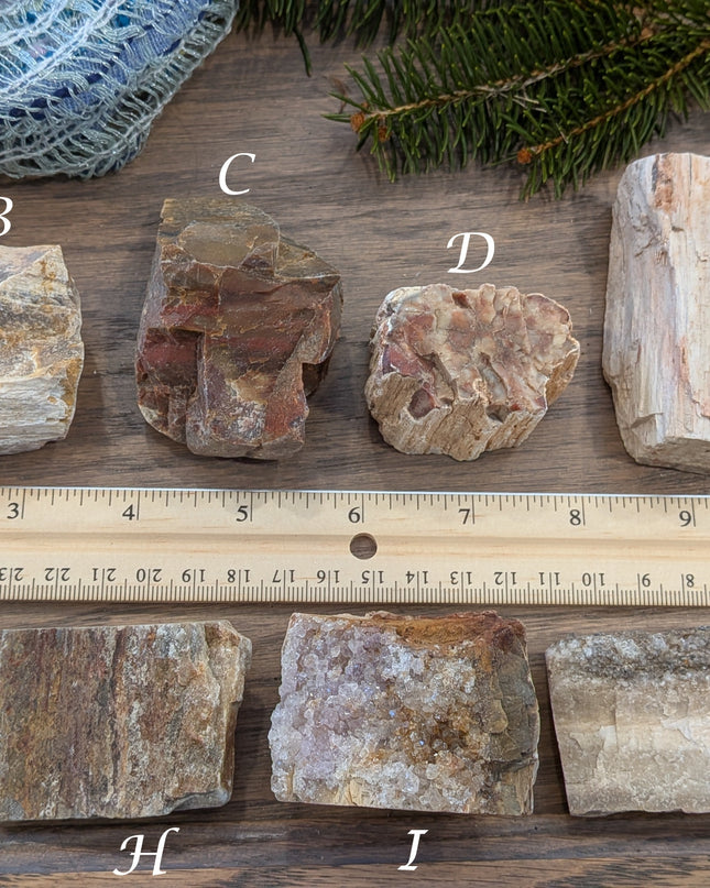 Brown, Red, Tan Petrified Wood Rough Stones