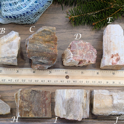 Brown, Red, Tan Petrified Wood Rough Stones