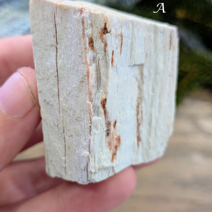 Brown, Red, Tan Petrified Wood Rough Stones - Variant A