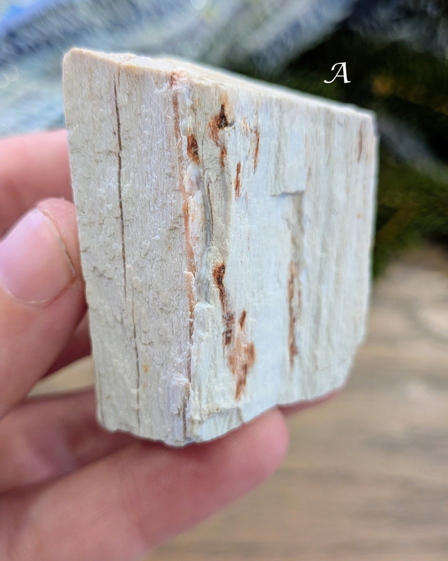 Brown, Red, Tan Petrified Wood Rough Stones - Variant A