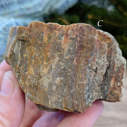 Brown, Red, Tan Petrified Wood Rough Stones - Variant C