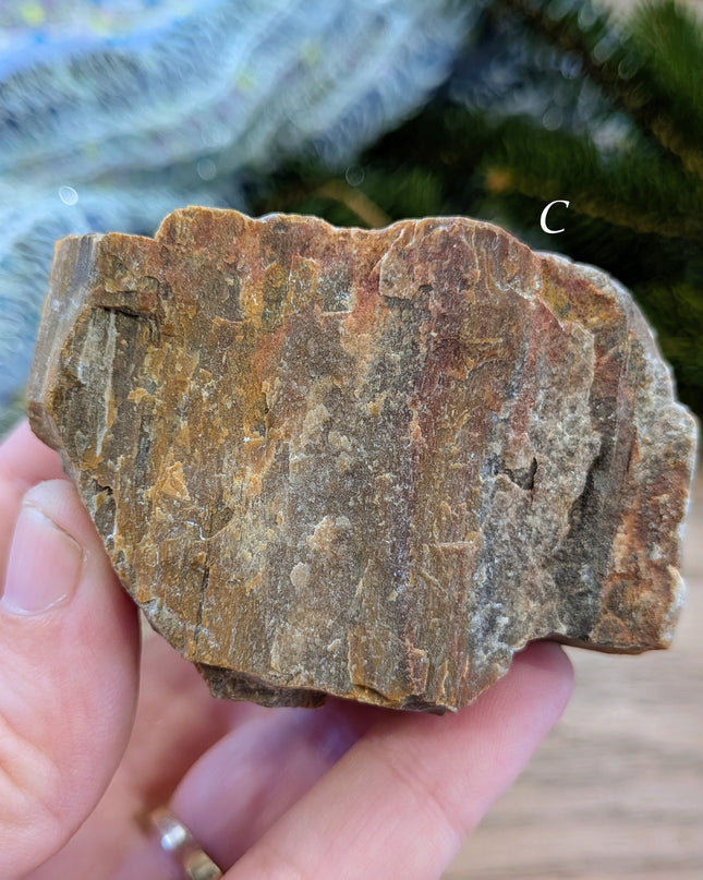 Brown, Red, Tan Petrified Wood Rough Stones - Variant C