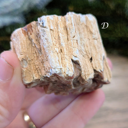 Brown, Red, Tan Petrified Wood Rough Stones - Variant D