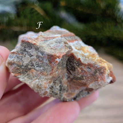 Brown, Red, Tan Petrified Wood Rough Stones - Variant F