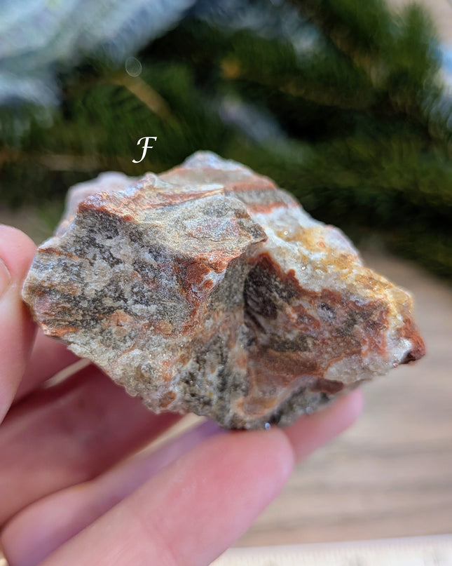 Brown, Red, Tan Petrified Wood Rough Stones - Variant F