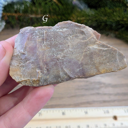 Brown, Red, Tan Petrified Wood Rough Stones - Variant G