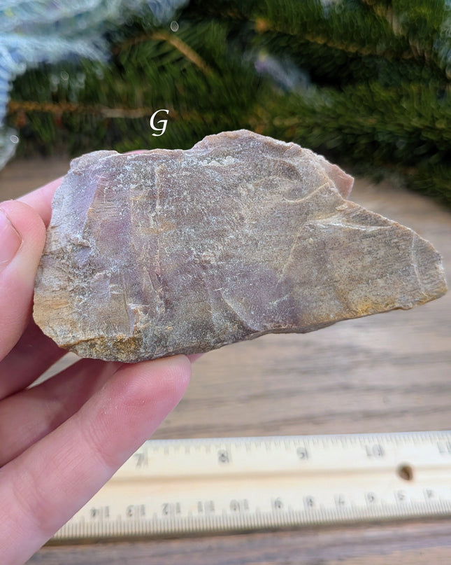 Brown, Red, Tan Petrified Wood Rough Stones - Variant G