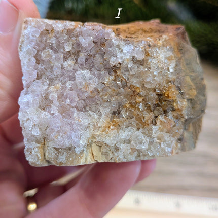 Brown, Red, Tan Petrified Wood Rough Stones - Variant I