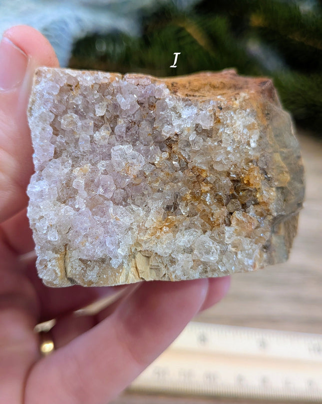 Brown, Red, Tan Petrified Wood Rough Stones - Variant I