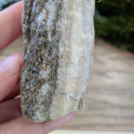 Brown, Red, Tan Petrified Wood Rough Stones - Variant J