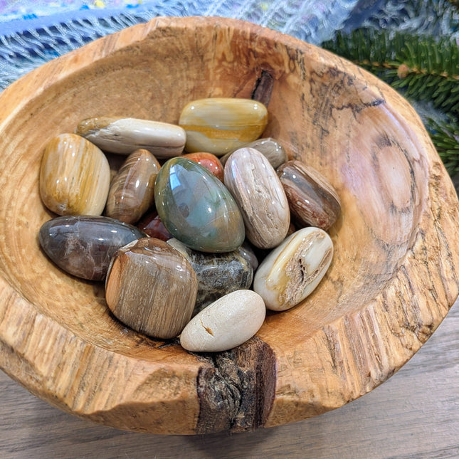 Brown, Tan, Red Petrified Wood Tumbled Stones
