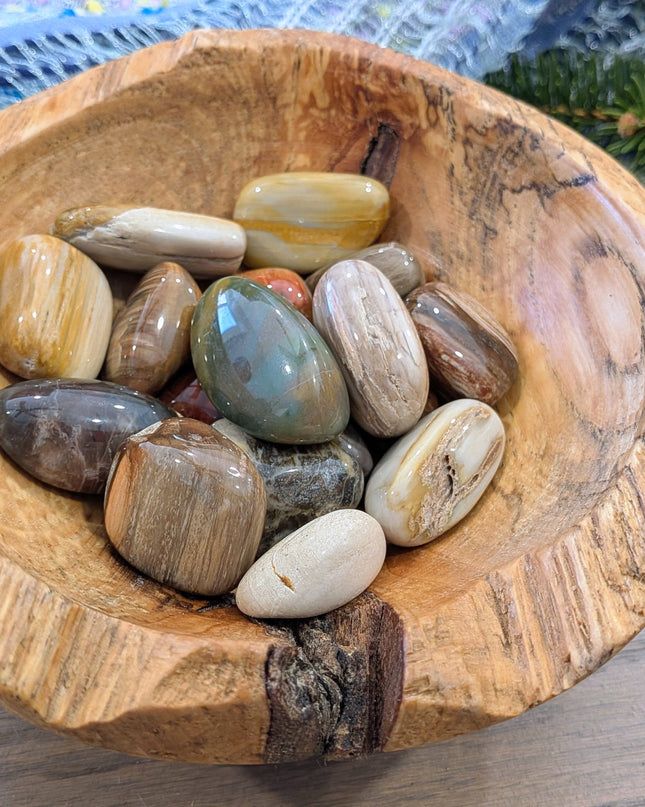 Brown, Tan, Red Petrified Wood Tumbled Stones