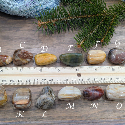 Brown, Tan, Red Petrified Wood Tumbled Stones