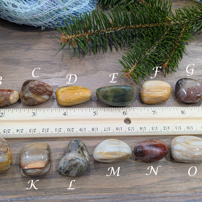 Brown, Tan, Red Petrified Wood Tumbled Stones