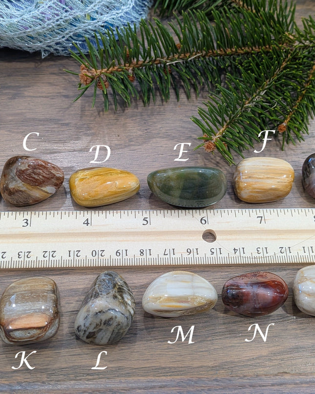 Brown, Tan, Red Petrified Wood Tumbled Stones