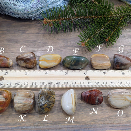 Brown, Tan, Red Petrified Wood Tumbled Stones