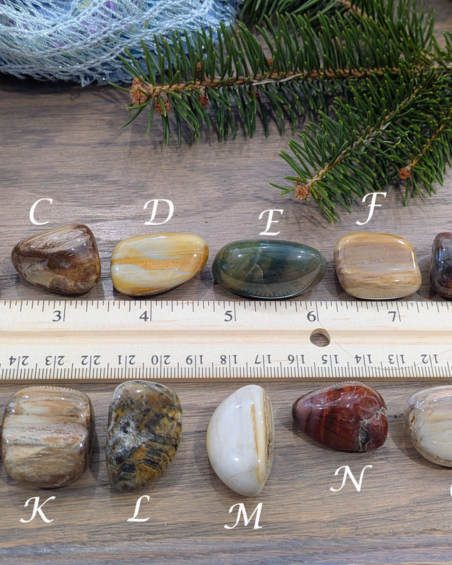 Brown, Tan, Red Petrified Wood Tumbled Stones