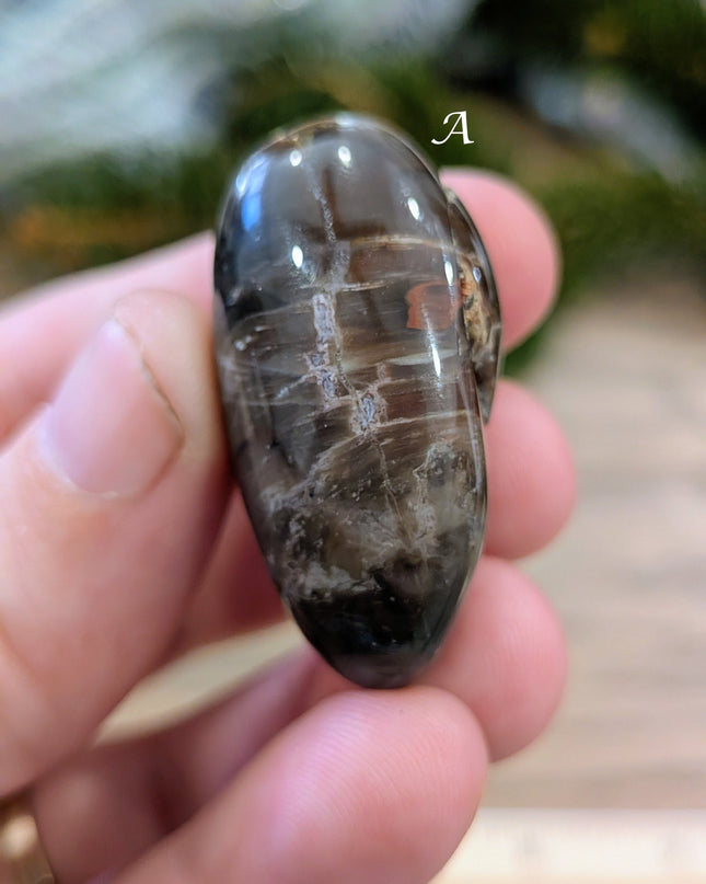 Brown, Tan, Red Petrified Wood Tumbled Stones - Variant A