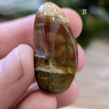 Brown, Tan, Red Petrified Wood Tumbled Stones - Variant B