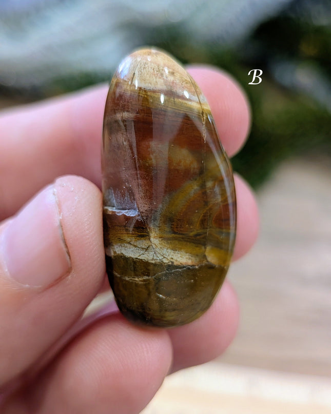 Brown, Tan, Red Petrified Wood Tumbled Stones - Variant B