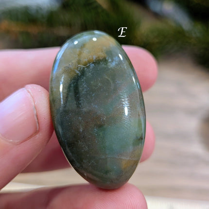 Brown, Tan, Red Petrified Wood Tumbled Stones - Variant E