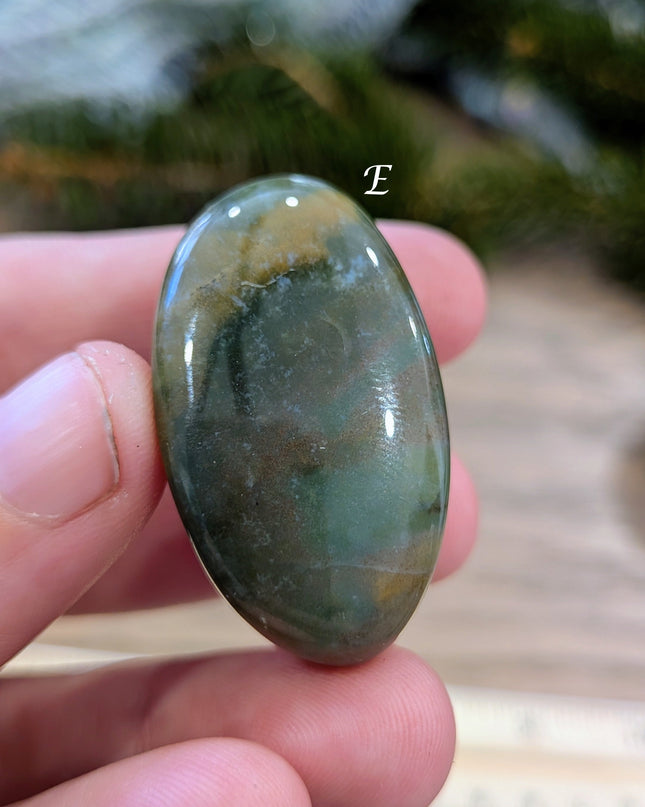 Brown, Tan, Red Petrified Wood Tumbled Stones - Variant E