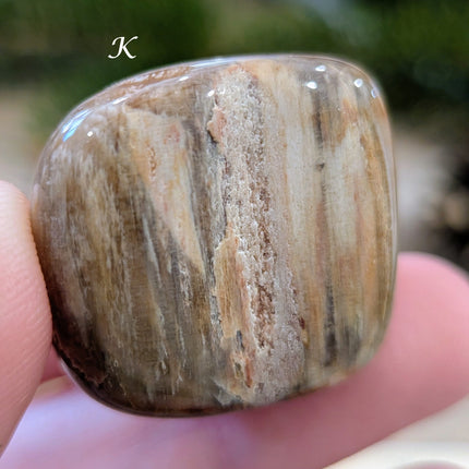 Brown, Tan, Red Petrified Wood Tumbled Stones - Variant K