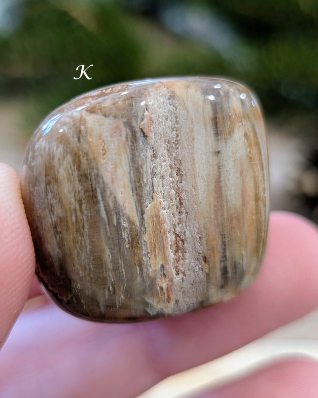 Brown, Tan, Red Petrified Wood Tumbled Stones - Variant K