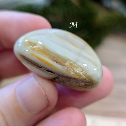 Brown, Tan, Red Petrified Wood Tumbled Stones - Variant M