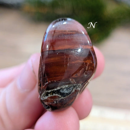 Brown, Tan, Red Petrified Wood Tumbled Stones - Variant N