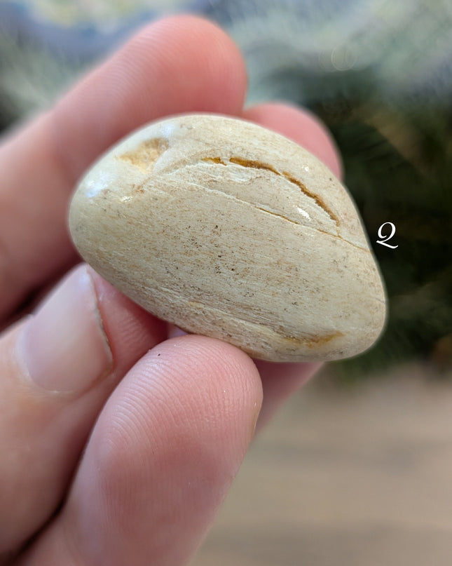 Brown, Tan, Red Petrified Wood Tumbled Stones - Variant Q