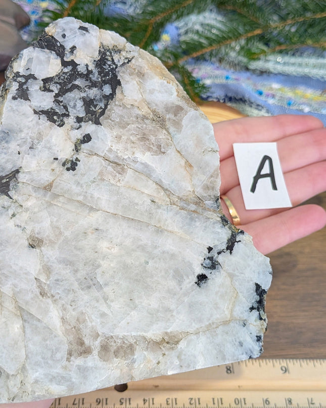 Rainbow Moonstone Freeshapes