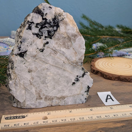 Rainbow Moonstone Freeshapes