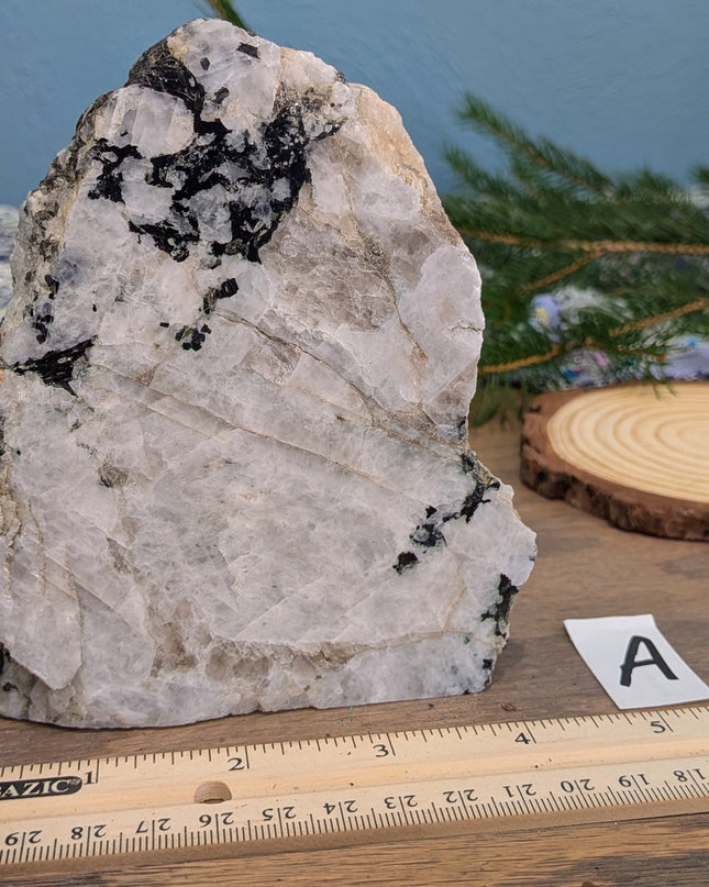 Rainbow Moonstone Freeshapes