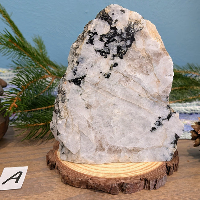 White, Black Rainbow Moonstone Freeshapes - Variant A