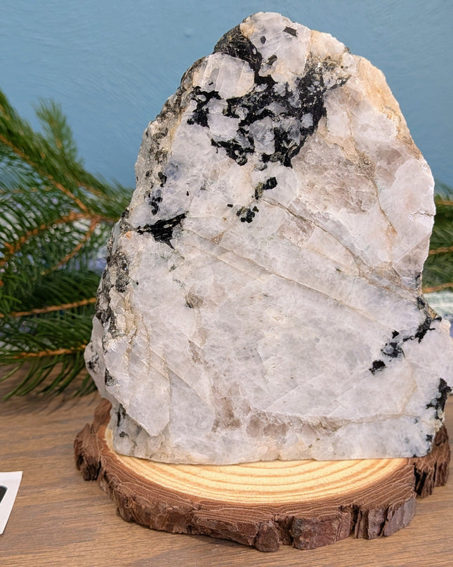 White, Black Rainbow Moonstone Freeshapes - Variant A